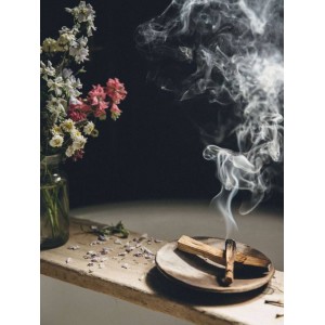 Пало Санто (Palo Santo) PNP 2-3 брусочка 20 гр К200Акц