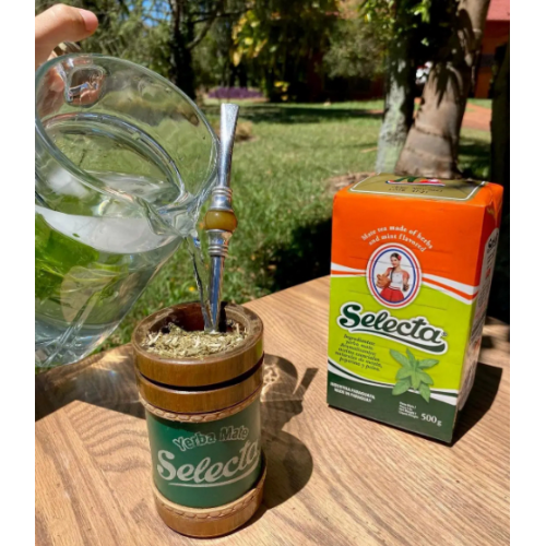 Чай Йерба Мате Selecta Мята (Menta) 500 г К576/500
