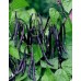 Фасоль чёрная Selecta (Poroto Negro) 250г без ГМО и глютена (573/250)