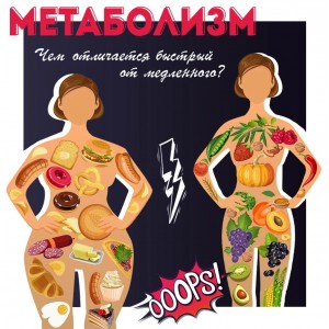 Метаболизм и обмен веществ