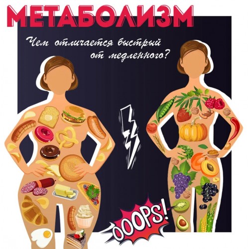 Метаболизм и обмен веществ